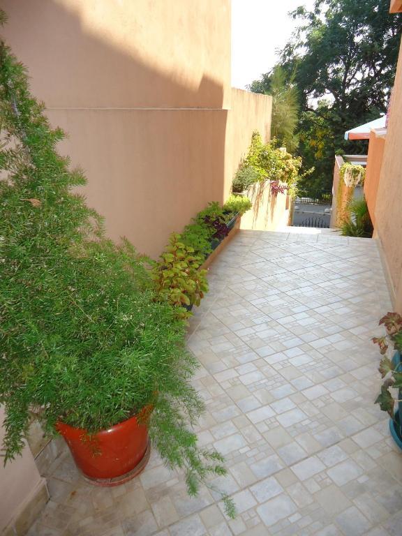 Apartments Villa Micunovic Herceg Novi Oda fotoğraf
