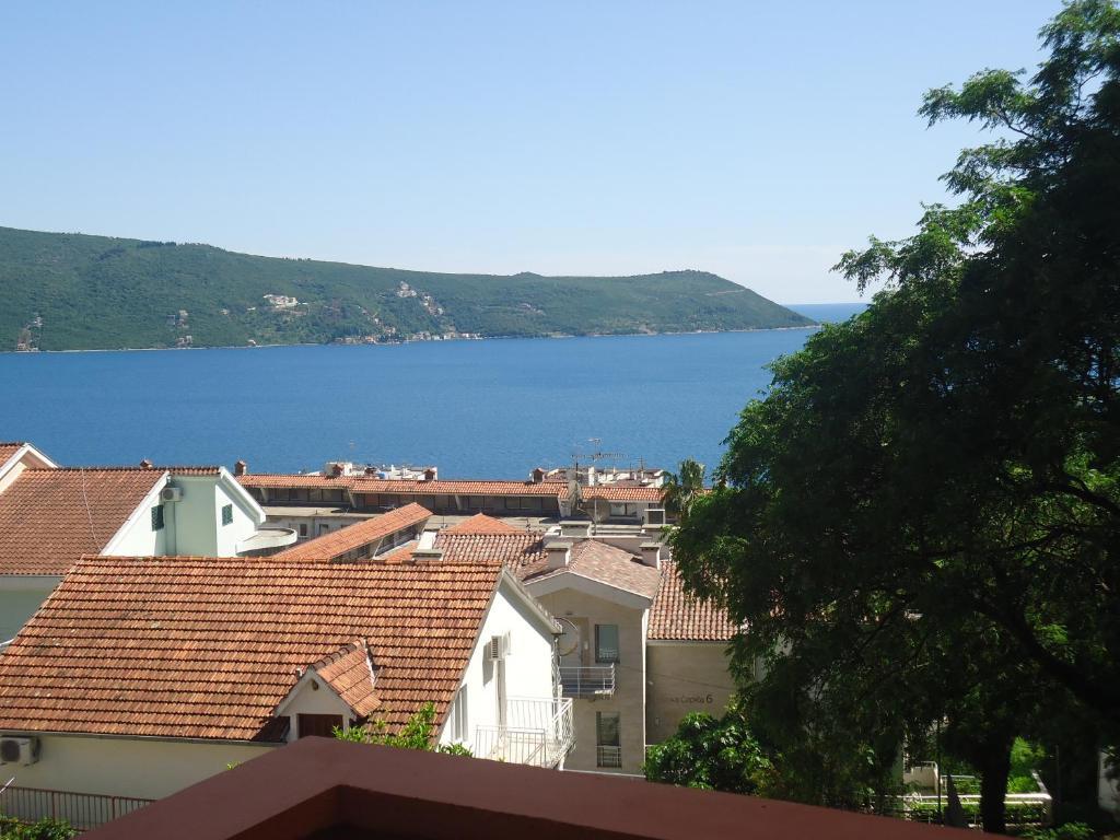 Apartments Villa Micunovic Herceg Novi Oda fotoğraf